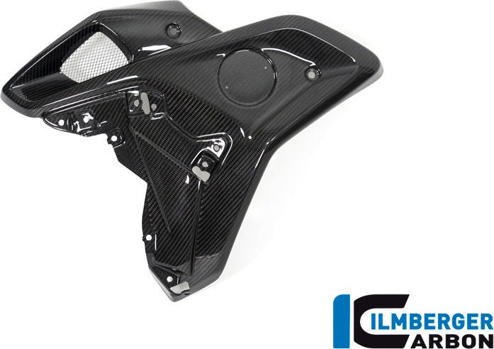 ILMBERGER / イルムバーガーカーボンパーツ エアチューブ 左側 (オリジナルステンレスディフレクター用) BMW R 1250 GS | WKL.026.GS19T.K
