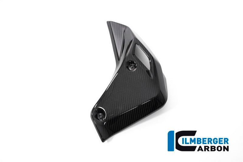 Ilmberger / イルムバーガーカーボンパーツ ウォータークーラーカバー 右 BMW R 1250 R (LC) 2019 | WKR.002.R125R.K