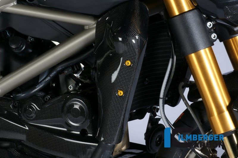ILMBERGER / イルムバーガーカーボンパーツ ウォータクーラー カバー 右側 | WKR.013.STRFI.K