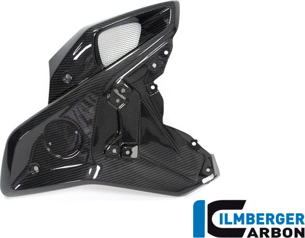 ILMBERGER / イルムバーガーカーボンパーツ エアチューブ 右側 (オリジナルステンレスディフレクター用) BMW R 1250 GS | WKR.025.GS19T.K