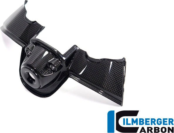 ILMBERGER / イルムバーガーカーボンパーツ イグニッションスイッチカバー グロス Panigale V4 / V4 S | ZSA.007.DPV4G.K