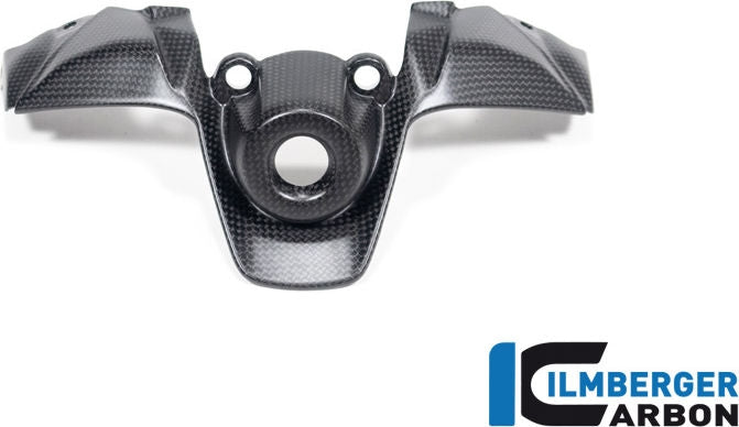 ILMBERGER / イルムバーガーカーボン イグニッションスイッチカバー マット Ducati ストリートファイター V2 | ZSA.106.V2SFM.K