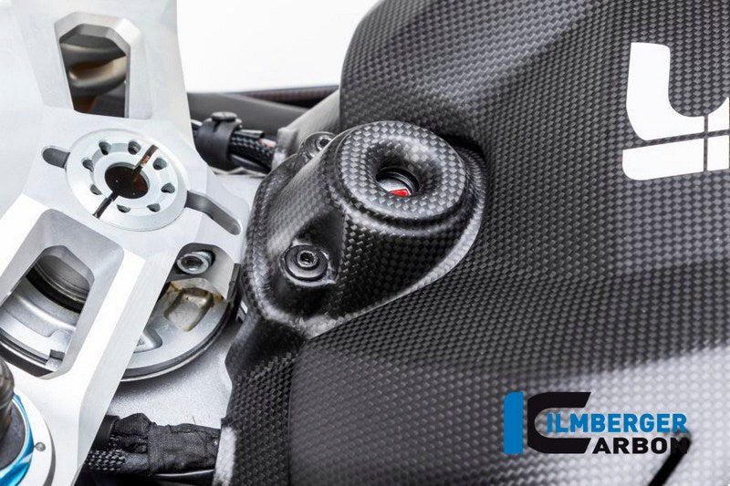 ILMBERGER / イルムバーガーカーボンパーツ イグニッションスイッチカバー マット Panigale V4 / V4 S | ZSA.107.DPV4M.K