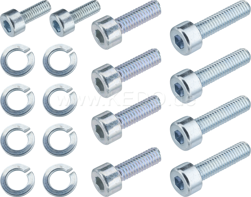 Kedo Fuel petcock Bolt Set (Allen screws zinc plated suitable for SR500 petcocks equipped with two diaphragms 18 Pcs.) | 42029