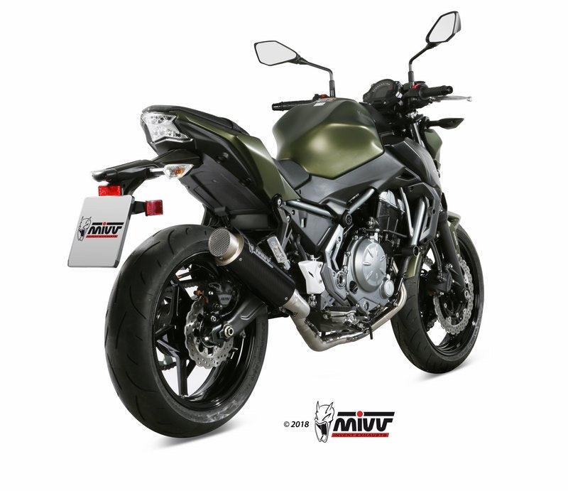 SPORT Full sys. 2x1 Muffler GPpro CARBON WITH CATALYZER CONVERTING KIT