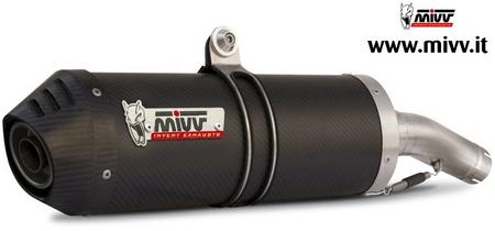 -SPORT OVAL- スリップオン カーボン(カーボンエンドキャップ) 2本出し