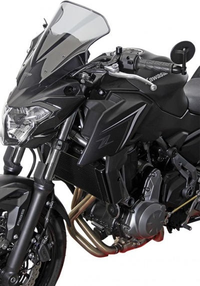 MRA / エムアールエー Z 650 レーシングウインドスクリーン NRN 2017- | 4025066159383