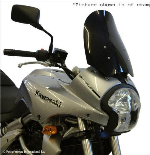 Powerbronze / パワーブロンズ フリップスクリーン フロストステルスグレー KAWASAKI GPX250 88-96 | 420-K101-019