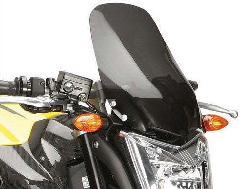 Powerbronze / パワーブロンズ ライトスクリーン フロストステルスグレー YAMAHA FZ-1N (370MM) | 430-U113-019