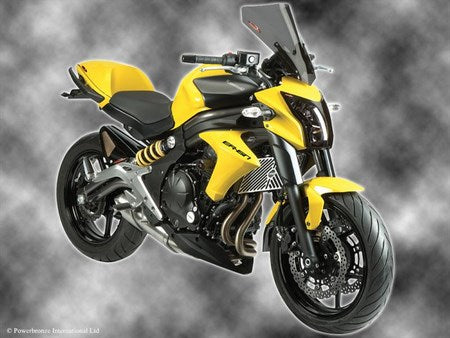 Powerbronze / パワーブロンズ ヘッドライトプロテクター イエロー KAWASAKI ER6-N 12-17 | 440-K500-006