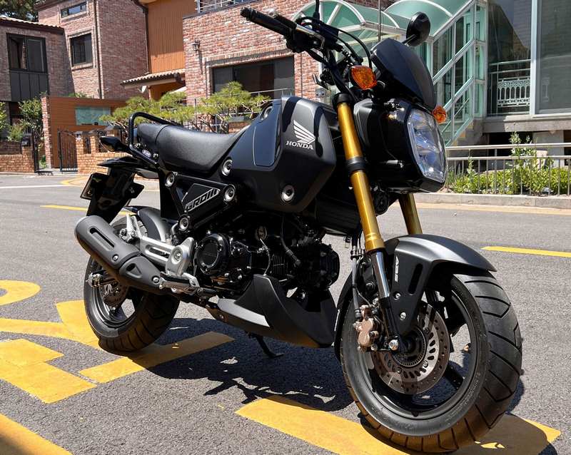 Pyramid / ピラミッド ベリーパン | ゲイエティレッド & グロスブラック | Honda MSX 125 2021- | 21121R