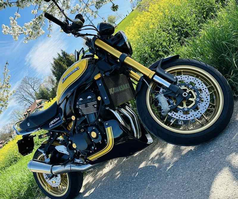 Pyramid / ピラミッド ベリーパン キャンディーグリーン/メタリックイエロー | Kawasaki Z 900 RS 2024- | 23905G