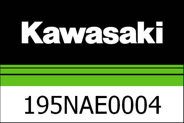 Kawasaki / カワサキ TOMTOM RIDER 550 | 195NAE0004