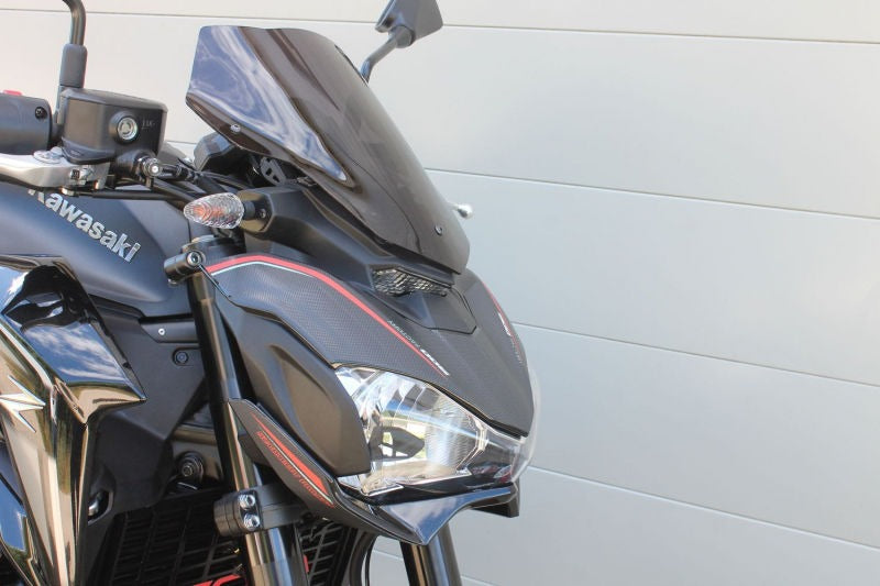 S2-Concept / S2コンセプト ノーズフェアリング Kawasaki Z900 | K914