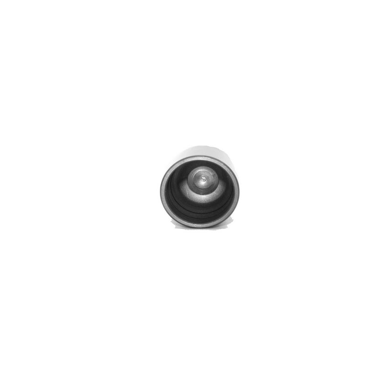 Siebenrock Tappet Cam Follower | 1132087