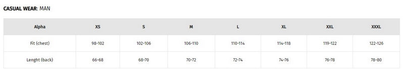 Dainese / ダイネーゼ ESSENCE WORDMARK Tシャツ NORTHERN DROPLET | 2018900067-74O