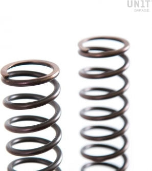 Unitgarage / ユニットガレージ Front suspension springs Triumph (2000-2012) | 08798-90