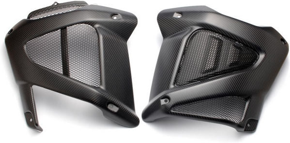YAMAHA OEM / ヤマハ純正 カーボンサイドパネル 右 l 23P-F83R0-U0-00