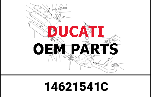 DUCATI純正 ALBERO MOTORE + GRANI | 14621541C