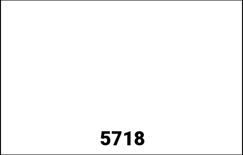 Bagster S. カスタマイズ SPEED TRIPLE 1050 On Request | 5718