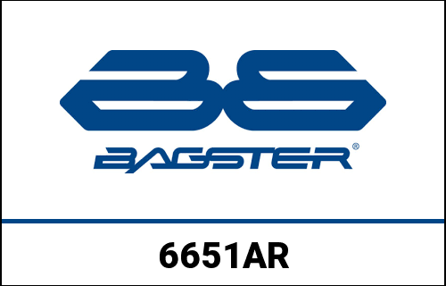 Bagster / バグスター S. カスタマイズ MV AGUSTA BRUTAL 920 2011 | 6651AR