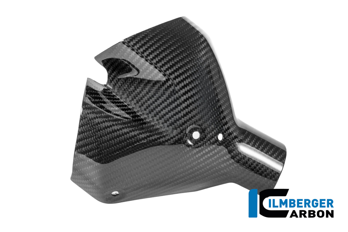 Ilmberger Carbon / イルムバーガー BMW R 1300 R 用 フロント排気熱シールド（カーボン・グロス仕上げ） | CG.AHS.009.R130R