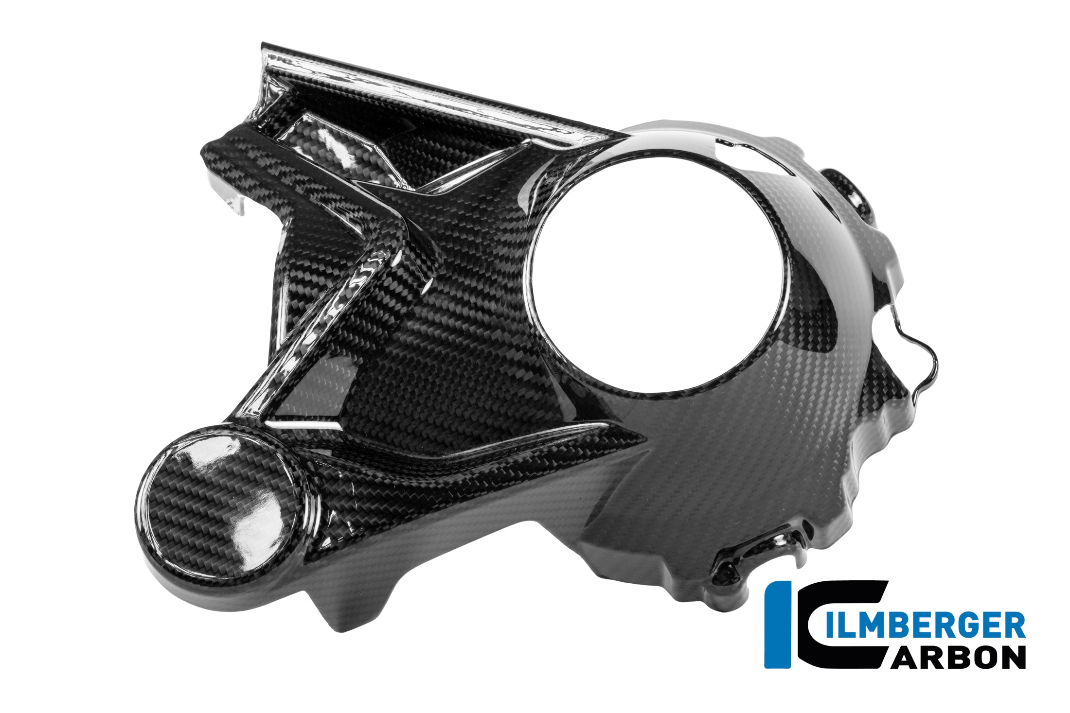 Ilmberger Carbon / イルムバーガー 2023年式 BMW R 1300 GS 用 ベベルドライブハウジングプロテクター（光沢仕上げ） | CG.KGA.025.R23GS