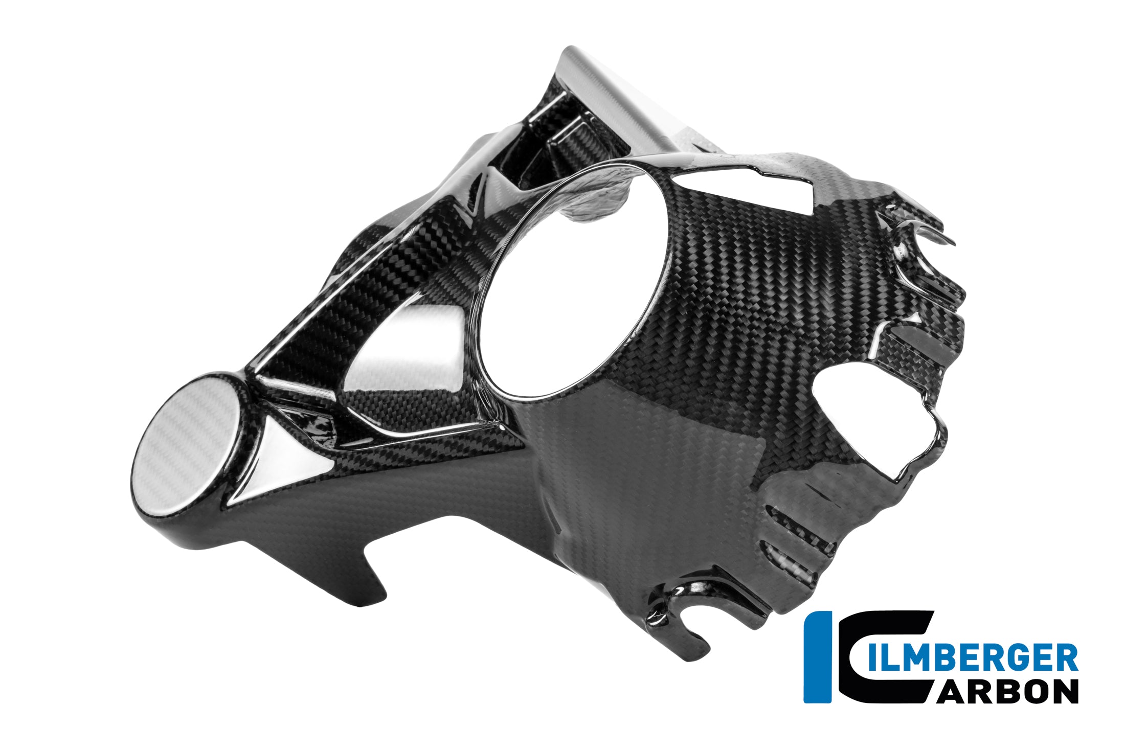Ilmberger Carbon / イルムバーガー 2023年式 BMW R 1300 GS 用 ベベルドライブハウジングプロテクター（光沢仕上げ） | CG.KGA.025.R23GS