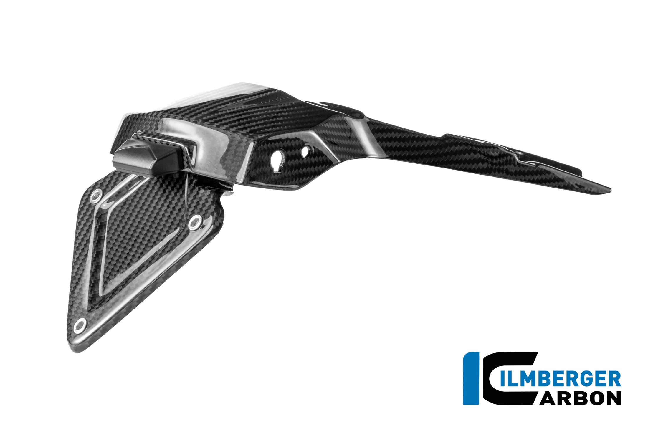 Ilmberger Carbon / イルムバーガー 光沢仕上げのナンバープレートホルダー BMW R 1300 R | CG.NHO.021.R130R