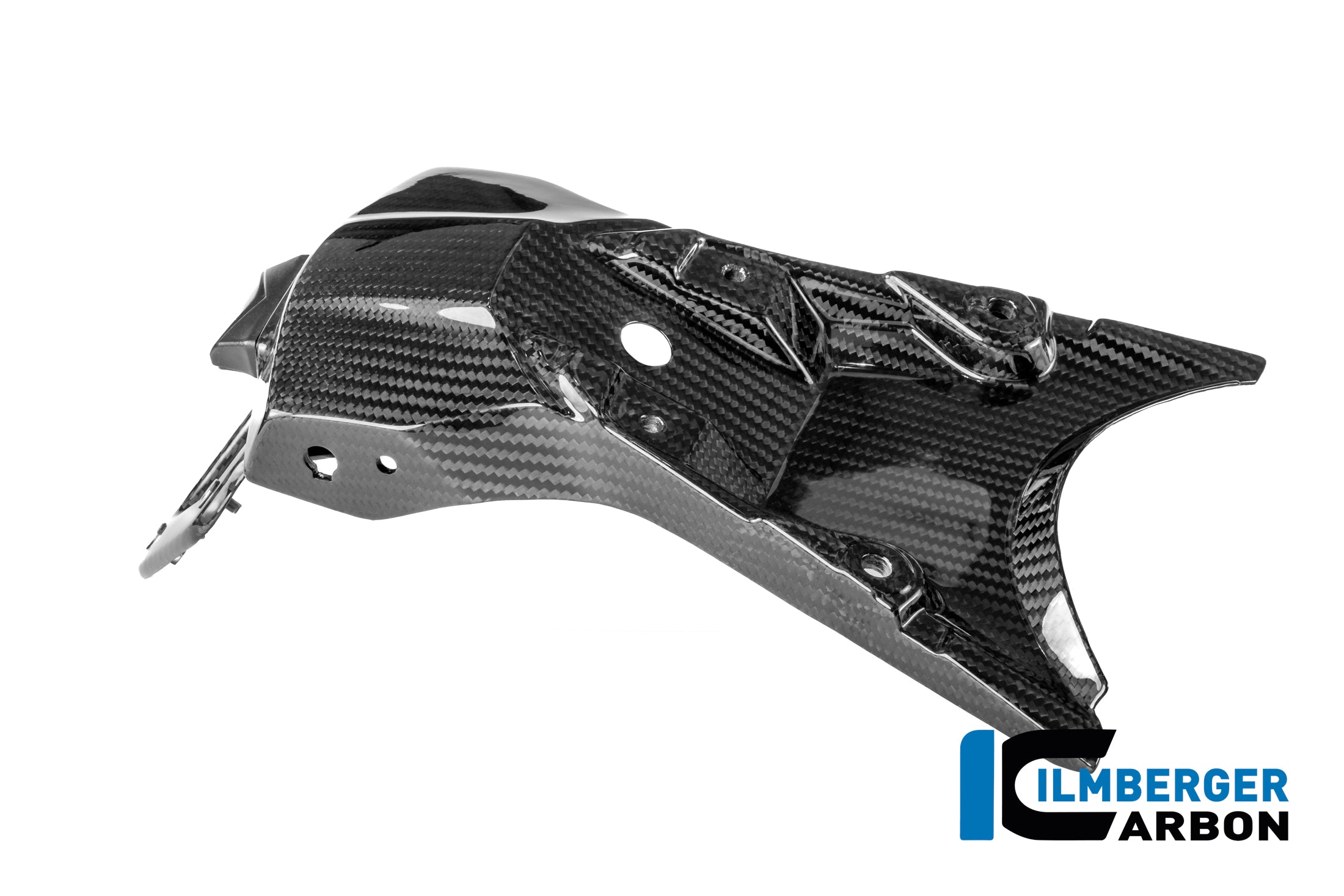 Ilmberger Carbon / イルムバーガー 光沢仕上げのナンバープレートホルダー BMW R 1300 R | CG.NHO.021.R130R