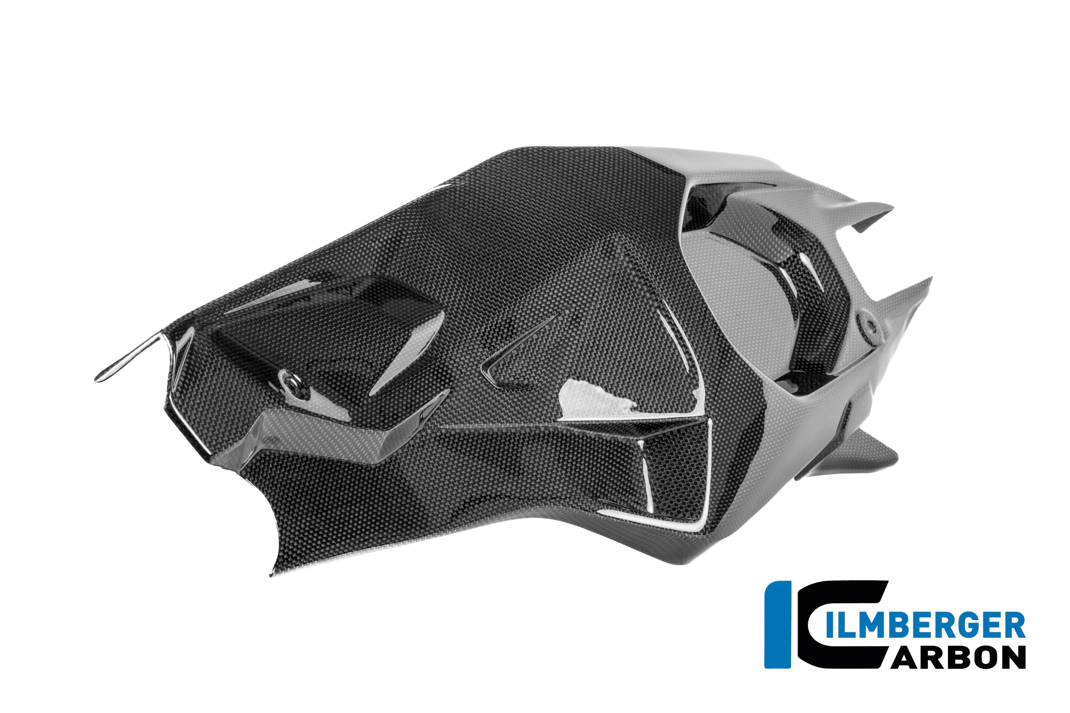 Ilmberger Carbon / イルムバーガー スイングアームカバー（左側） カーボン・グロス Ducati パニガーレ V4 R 2025 | CG.SCL.005.V4R25
