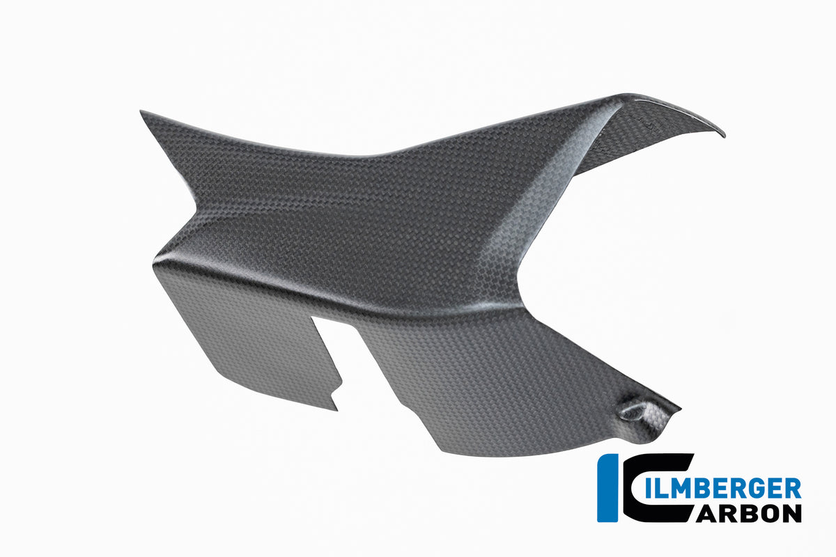 Ilmberger Carbon / イルムバーガー 右側ウィングレットフェアリング カーボンマット Ducati Multistrada V4 2025 | CM.VFR.018.MTS25