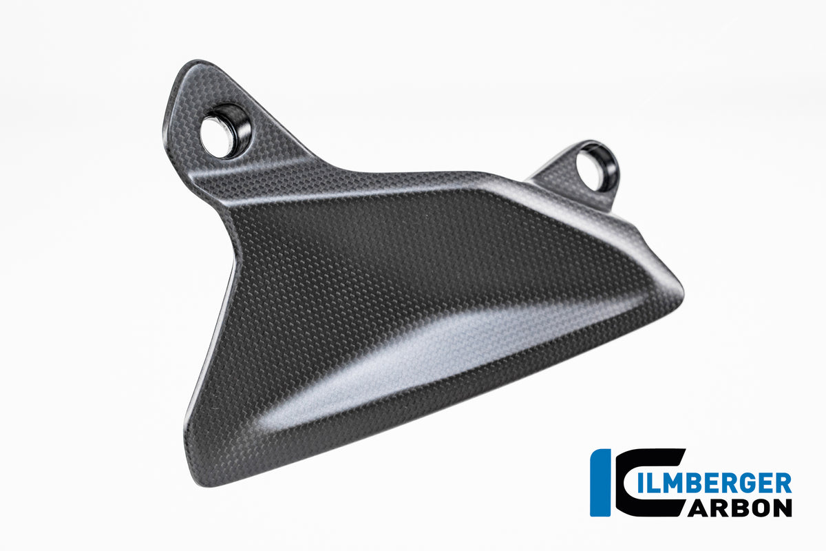 Ilmberger Carbon / イルムバーガー コックピット右側のウィンドディフレクター（カーボンマット仕上げ） Ducati Multistrada V4 2025年モデル | CM.WAR.016.MTS25