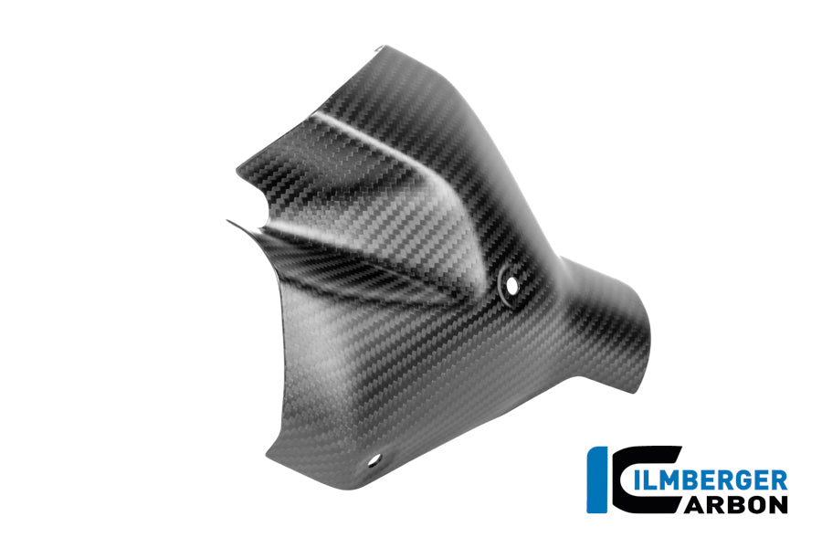 Ilmberger Carbon / イルムバーガー フロントエキゾーストヒートシールド カーボンマット BMW R 1300 R | CM.AHS.009.R130R
