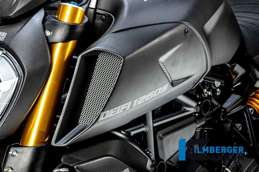 ILMBERGER / イルムバーガー エアチューブカバー 左側 マット Diavel 1260 | LKL.102.DI19M.K