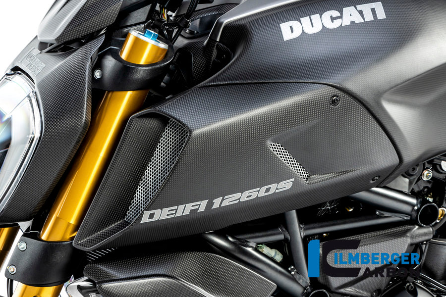 ILMBERGER / イルムバーガー エアチューブカバー 左側 マット Diavel 1260 | LKL.102.DI19M.K