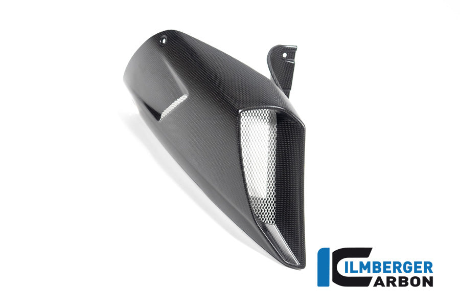 ILMBERGER / イルムバーガー エアチューブカバー 右側 マット Diavel 1260 | LKR.103.DI19M.K