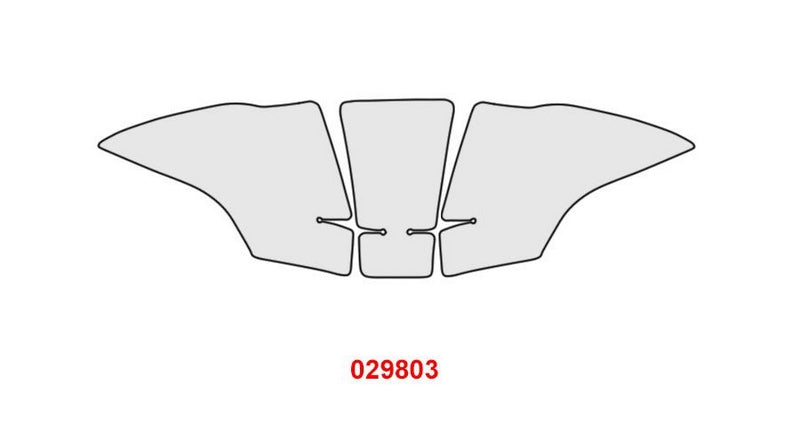 Hornig / ホーニグ ピン Paint protection for BMW F900R | 029803