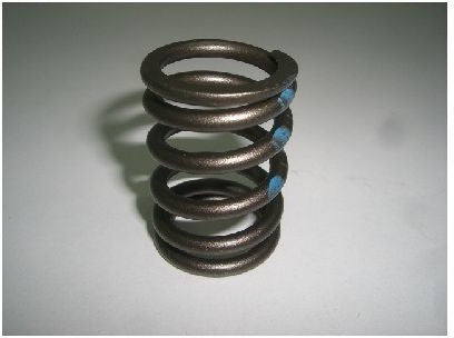 Hornig Valve spring | 1134176