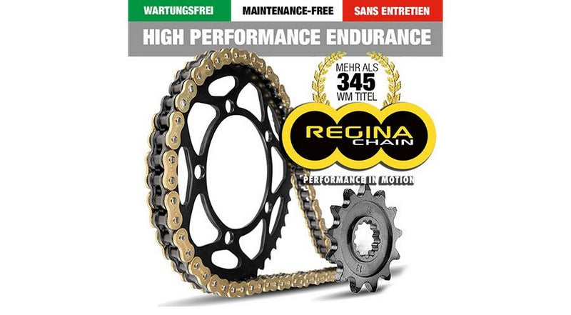 Hornig / ホーニグ ピン Endurance Chain Kit maintenance-free for BMW F800R | 219-KHPE