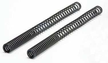 Hornig Fork spring set | 3141027