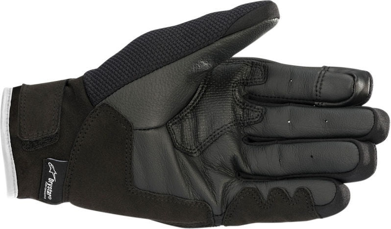 Alpinestars / アルパインスターズ グローブ 4W S-Max Ds  ブラック|ホワイト |3537620-12