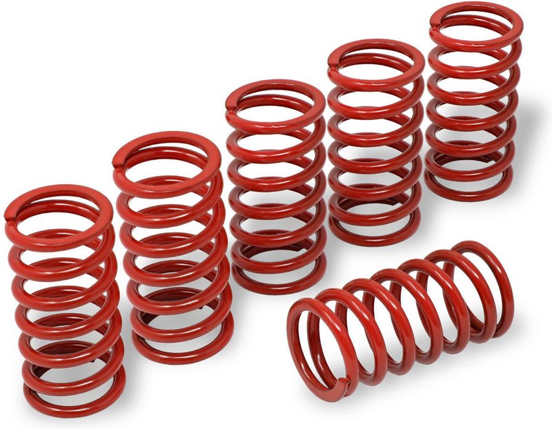 CNC Racing / シーエヌシーレーシング Clutch springs H40.5 - MV Agusta | MO245