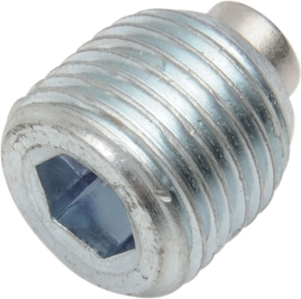 Drag Specialties PLUG MAGN PRMRY 1/8NPT | 11-0291-P