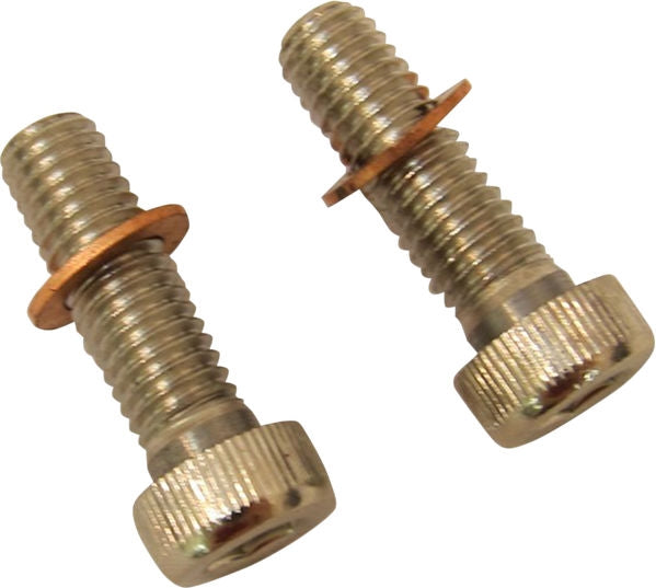Drag Specialties SCREWS W/WSHRS DMPR TB | C23-0237NU-2
