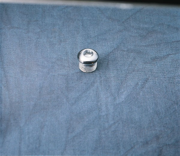 Drag Specialties TIMING PLUG ALLEN ALL HD | MK135