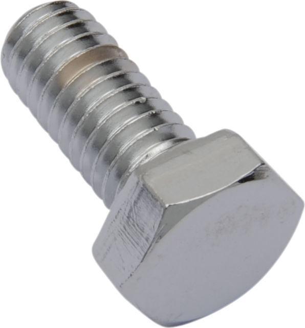 Drag Specialties 5/16 -18X5/8 CHR HEX HD | MPB122