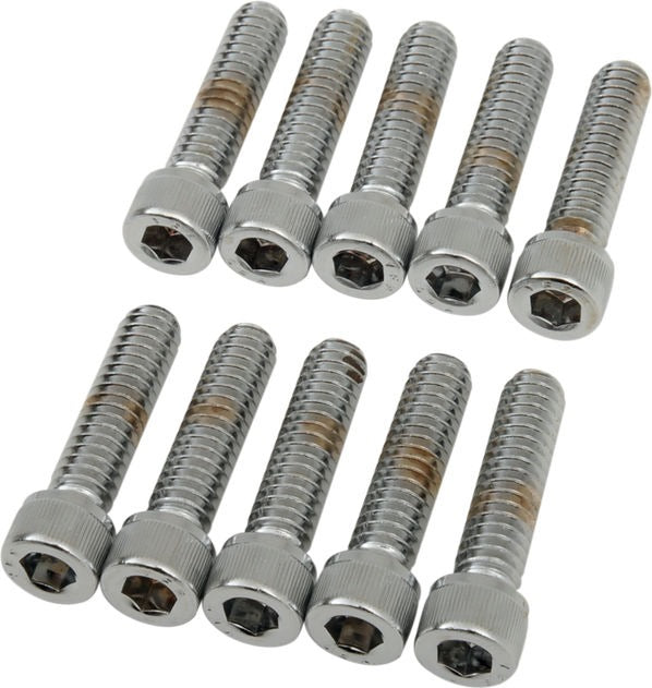 Drag Specialties 1/4-20 X 1 SOCKET HEAD | MPB181