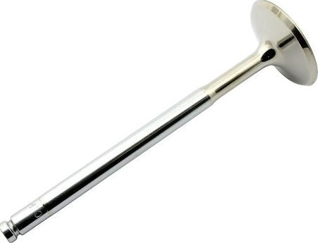 DUCATI / ドゥカティ Genuine INTAKE VALVE | 21010251A