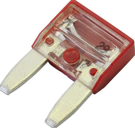 DUCATI純正 FUSE 10A | 38940201A